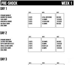 vert shock review results workouts