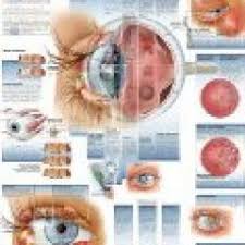 Boomer And Senior Vision News Macular Dystrophy Takes Its