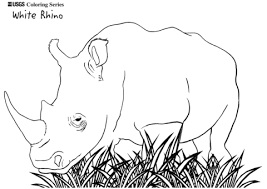 We did not find results for: Baby Rhino Coloring Page
