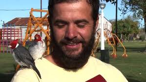 Como Viajar en Coche Con Tus Aves