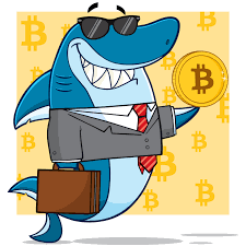 Bitcoin's take on the popular investment app acorns, lawnmower rounds traditional bank card purchases up to the nearest dollar and invests the change in bitcoin. Cryptocurrency Roundup App Gets 100 000 Shark Tank Investment Finance Bitcoin News