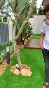 Harap jep sepahtu bersikap lebih matang selepas berkahwin. Bila Plant Grass Tanam Rumput Lanskap Landscape
