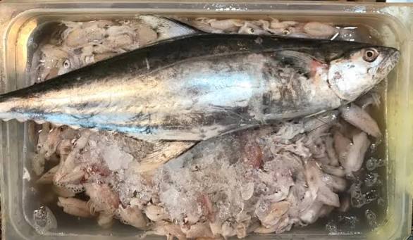 A Korean Seerfish - Or known as Tua Pan. Those of you who've followed my cooking blog over the years will know that the last time I saw one of these in