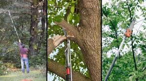 Check spelling or type a new query. Find The Best Electric Pole Saw With Our Reviews Guide For 2021