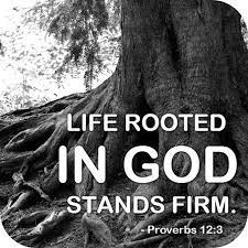 Download and use 1,000+ bible stock photos for free. Bible Quotes 4k Hd Wallpaper Amazon De Apps Fur Android