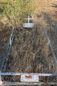 Thomas Tiberio (1903-1984)