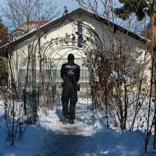 Mord In Haar Studentin Vergrabt Freund Im Garten Haar