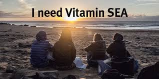 The ultimate hostel packing list, including 23 items you cannot miss; 26 Funny Travel Quotes To Laugh 2021 Do You Need Vitamin Sea