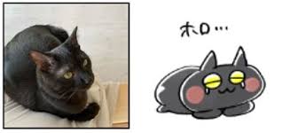 柴咲コウ出演 「葉加瀬太郎音楽祭2021 東京・明治神宮公演」中止のお知らせ tv 2021.6.1 『35歳の少女』日テレプラス（cs放送）にて2021年6月28日（火）より放送スタート! æŸ´å'²ã‚³ã‚¦ãŒä»£è¡¨ã‚'å‹™ã‚ã‚‹ ãƒ¬ãƒˆãƒ­ãƒ¯ã‚°ãƒ©ãƒ¼ã‚¹ ã‚ˆã‚Š çŒ« Chats ã®lineã‚¹ã‚¿ãƒ³ãƒ— å…¨40ç¨®ãŒåˆç™»å ´ ãƒ¬ãƒˆãƒ­ãƒ¯ã‚°ãƒ©ãƒ¼ã‚¹æ ªå¼ä¼šç¤¾ã®ãƒ—ãƒ¬ã‚¹ãƒªãƒªãƒ¼ã‚¹