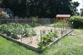 It helps to keep them away from your newly planted seeds and they'll stick around to eat insect pests. Protect The Garden How To Keep Birds Away From Grass Seed Aidwiki