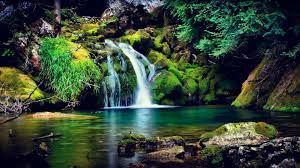 ❤ get the best cool nature wallpapers on wallpaperset. Cool Nature Hd Wallpapers Top Free Cool Nature Hd Backgrounds Wallpaperaccess