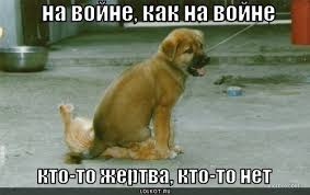 images?q=tbn:ANd9GcTcEJAKsyu5VLQBGiopncF2hpd3bpuCgLfS7Zj9MCF8LHA3hNeTmQ