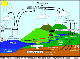Water Cycle Diagram Trp Image Search Results Water Cycle Water Cycle Diagram Weather And Climate