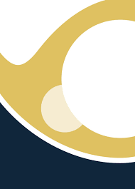 Yearbook - Class of 2021 by Chapel School - Issuu