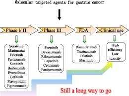 More men than women get stomach cancer. Molecular Targeted Therapy For The Treatment Of Gastric Cancer Journal Of Experimental Clinical Cancer Research Full Text