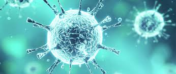 Nowy szczep koronawirusa znacznie bardziej zakaźny. Informacje Zdrowotne Dot Koronawirusa Centrum Medyczne Macierzynstwo Klinika In Vitro Ivf Krakow