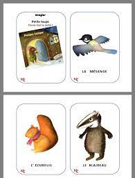 Petite Taupe La Petite Taupe Album Maternelle Raconte Tapis