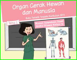 Kunci jawaban di bawah ini untuk pembelajaran 5 subtema 3: Kunci Jawaban Buku Tema 1 Kelas 5 Sd Mi K13 Revisi Terbaru Sanjayaops