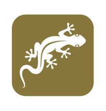 Gecko lizard is the only species which communicate through sound and has vocal cords and also known for their climbing skills. Gecko Tattoo Vector Images Over 990
