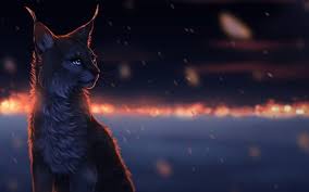 Quality wallpaper with a preview on: Digital Art Cat Wallpapers Hd Desktop And Mobile Backgrounds