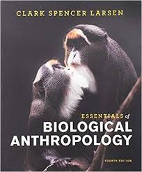 Biology How Life Works 3rd Edition Pdf Essentials Of Biological Anthropology Fourth Edition By Clark Spencer Larsen Biological Anthropology Anthropology Book Essentials