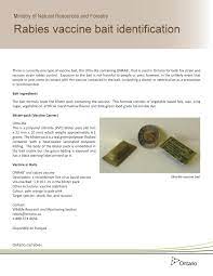 Learn about the rabies virus, vaccine because of how fatal the virus is, the rabies vaccine has been categorized as a core vaccination for puppies. Ontario Rabies Vaccine Baiting Distribution Ontario Animal Health Network