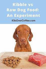 Kibble Vs Raw Dog Food An Experiment K9sovercoffee