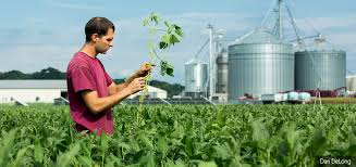 The department of agriculture provides leadership on food, agriculture, natural resources, and related issues. Microsoft Partners With Usda To Help Farmers Leverage Ai