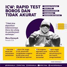 Icw Rapid Test Boros Dan Tidak Akurat Kaltim Today