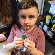 Monster GeoHunt Memorial Twist results and steals