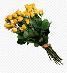 Rose bouquet yellow stock photos and images 76,063 matches. Yellow Roses Flower Bouquet Png Transparent Yellow Roses Png Free Transparent Png Images Pngaaa Com