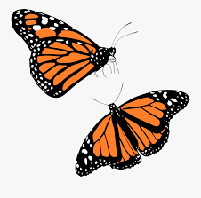 Png Format Monarch Butterfly Transparent Background Novocom Top