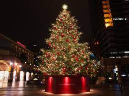 クリスマスツリーの日ってどんな日？由来はあの会社だった！ | はてなスッキリ