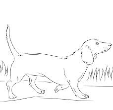 Dachshund Coloring Pages To Print Coloring Pages Animal Coloring Pages Dinosaur Coloring Pages
