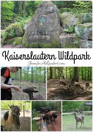 Kaiserslautern Wildpark Kaiserslautern Travel Fun Family Friendly Activities