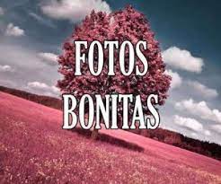 We did not find results for: Imagenes Bonitas Y Lindas Fotos Bonitas Con Y Sin Frases