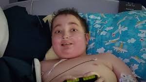 Fundraiser by April Cohen : Josh Fights