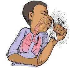 Ramai yang menggelar tibi sebagai penyakit batuk kering. Kenali Tanda Dan Gejala Tuberkulosis Stikes Surabaya