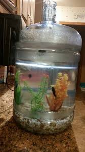 5 Gallon Water Bottle With Side Knotched Out For Filter Might Make 2 Of These For Our Reading Area Gallon Water Bottle Cheap Fish Tanks Water Bottle Crafts