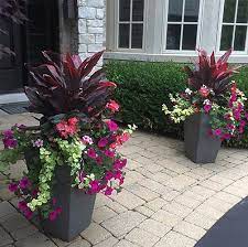 Plant Parenting Summer Outdoor Planters And Container Gardens Container Container Gardeni Flower Pots Outdoor Potted Plants Outdoor Front Porch Flower Pots