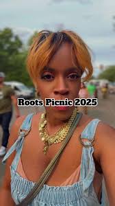 Roots Picnic Tickets Error 2025