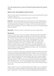 Image result for Cineraria mazoensis