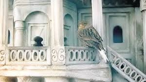 Istanbul Topkapi Sarayi Darphane I Amire Ic Avlu Duvarinda Detay Kus Evi Mimari Kus