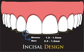 Scielo Brasil 10 Commandments Of Smile Esthetics 10 Commandments Of Smile Esthetics