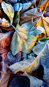 We have selected a list of top 10 best nokia pictures. Nokia Mobile Original Wallpapers Wallpaper Cave