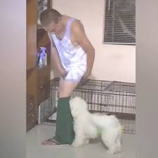 Hose runtergezogen: Hund bestraft unaufmerksames Herrchen