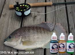 Essen Oplosan Untuk Harian Ikan Nila Essen