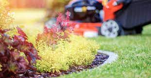 This page is dedicated to performing general do it yourself pest control. The Best Year Round Lawn Care Schedule This Old House