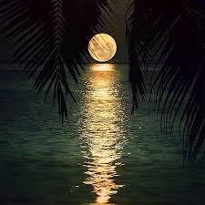 See more ideas about beautiful moon, moon pictures, shoot the moon. The Most Beautiful Full Moon Beautiful Moon Nature Shoot The Moon