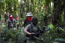 Eln is a streetwear brand that sees past trends and thrives on individuality in fashion. Us Terrorist Incidents In Venezuela Reflect Growing Eln Presence Dialogo Americas